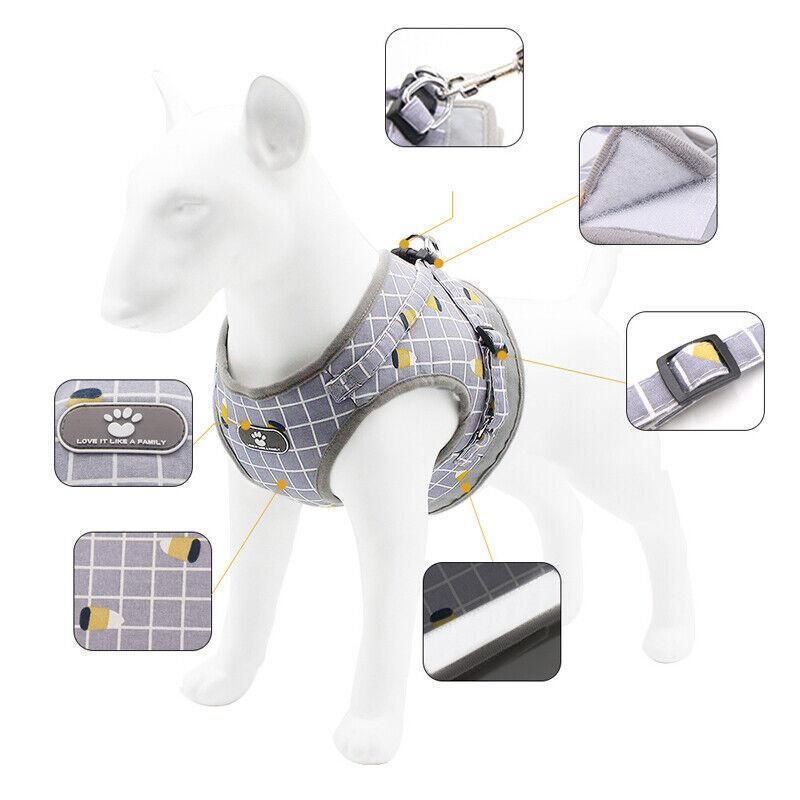 Grey Kitten Dog Cat Walking Harness Lead Leash Collar Pet Vest Mesh Adjustable - M
