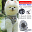 Grey Kitten Dog Cat Walking Harness Lead Leash Collar Pet Vest Mesh Adjustable - S