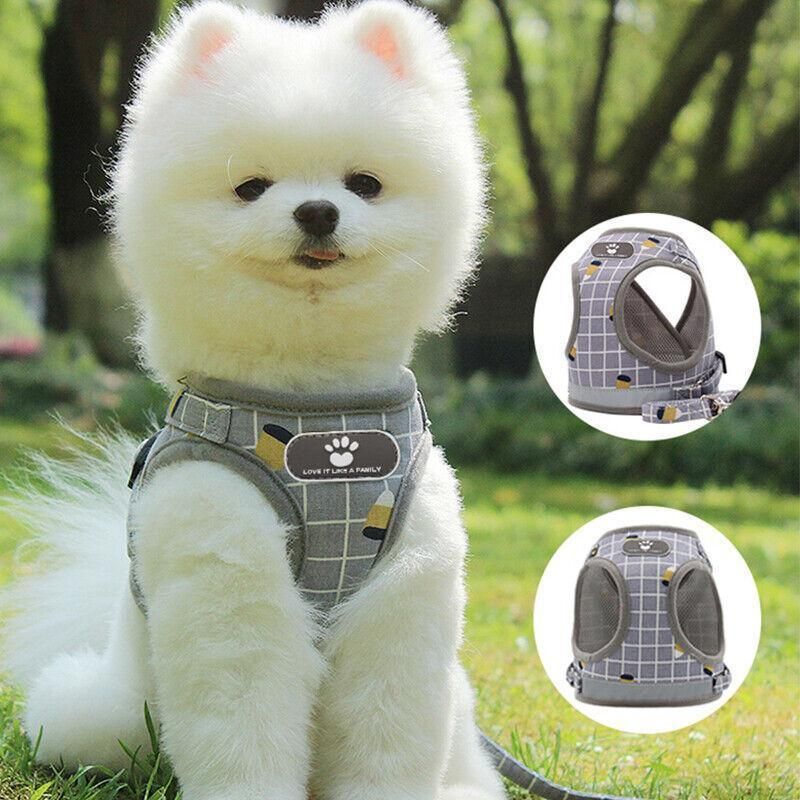 Grey Kitten Dog Cat Walking Harness Lead Leash Collar Pet Vest Mesh Adjustable - S
