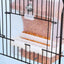 1 pc Automatic Bird Feeder Bird Feeder Cage Accessories Automatic Feed Cage - 520g