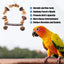 Parrot Chew Toy For Training Climbing Grinding Teeth Relief Durable Bird Toy - Pine Cones