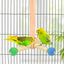 Parrot Toy Rotating Station Stand for Parrots Cockatiel Bird For Small Birds