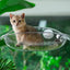 Cat Hammock Bed Glass Hanging Basket Clear Pet Nest Elevated Sleeping Bed - White
