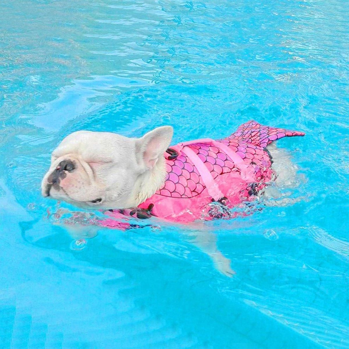Pet Life Jacket Dog Swim Vest Outdoor Water Gear for Summer Swimming Activities - Grey M