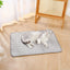 Pet  Sleeping Mat Summer Spring Mat for Dog and Cat Indoor Use - L