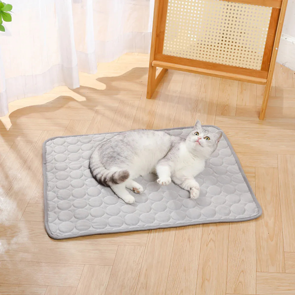 Pet  Sleeping Mat Summer Spring Mat for Dog and Cat Indoor Use - L