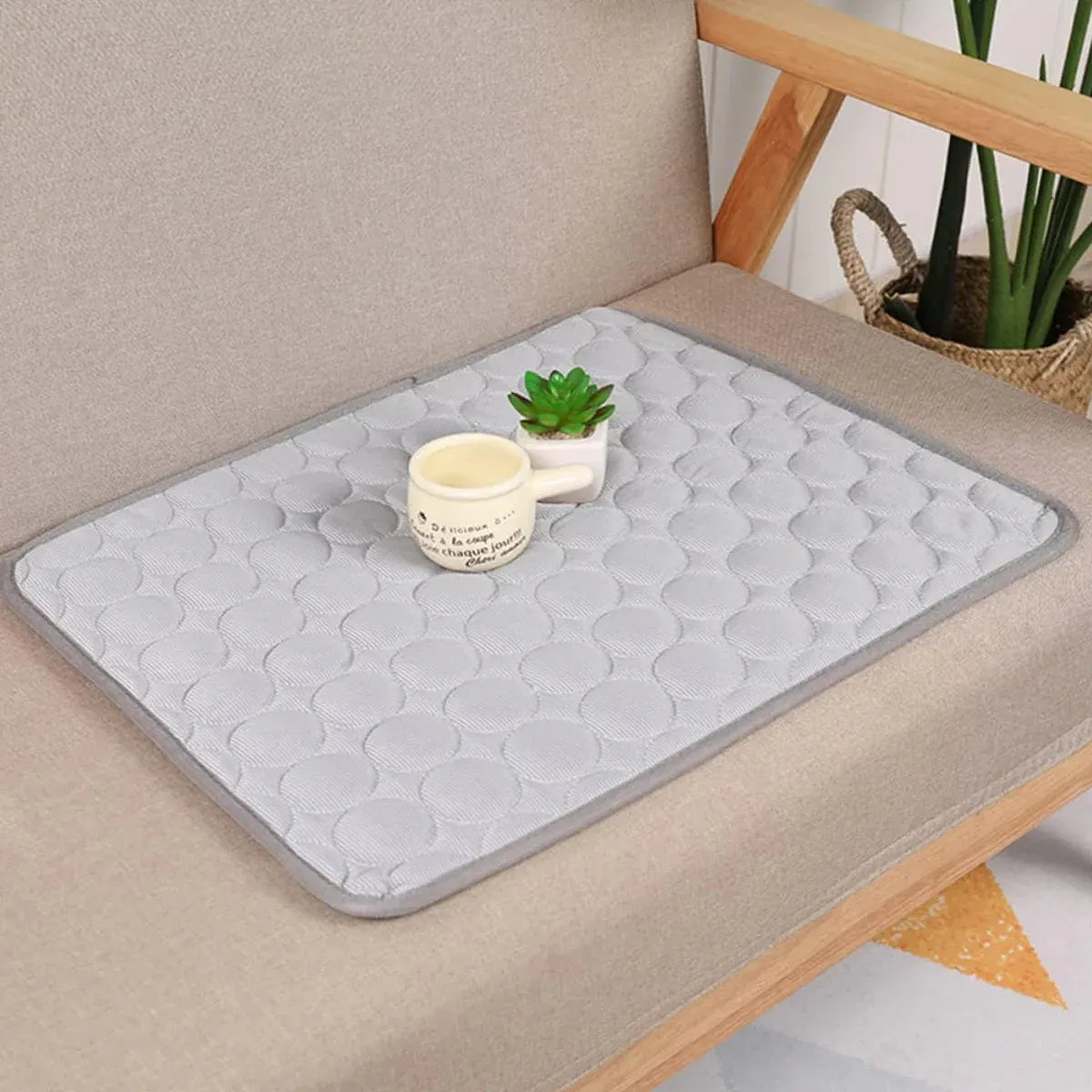 Pet  Sleeping Mat Summer Spring Mat for Dog and Cat Indoor Use - L