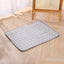 Pet  Sleeping Mat Summer Spring Mat for Dog and Cat Indoor Use - XXL