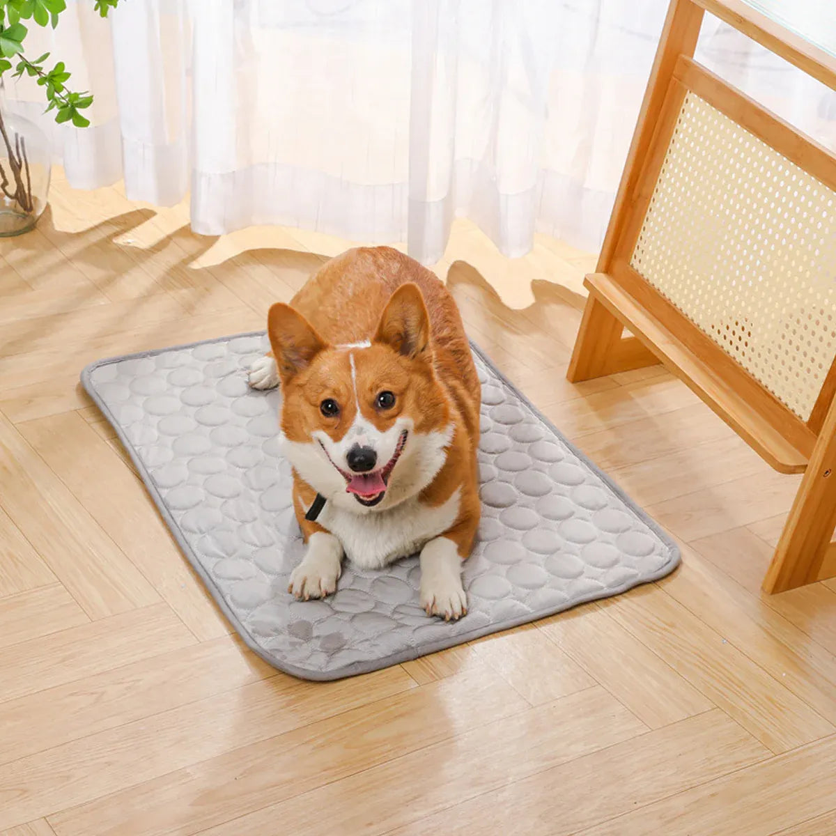 Pet  Sleeping Mat Summer Spring Mat for Dog and Cat Indoor Use - XXL
