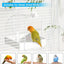 3in1 Parrot Bath Basin Bird Bathtub Cage or Accessory Pet Bird Feeder Water Bowl - Bathroom