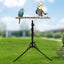 1-Piece Height-Adjustable Bird Perch Stand with Tripod Base