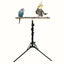 1-Piece Height-Adjustable Bird Perch Stand with Tripod Base