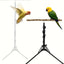 1-Piece Height-Adjustable Bird Perch Stand with Tripod Base