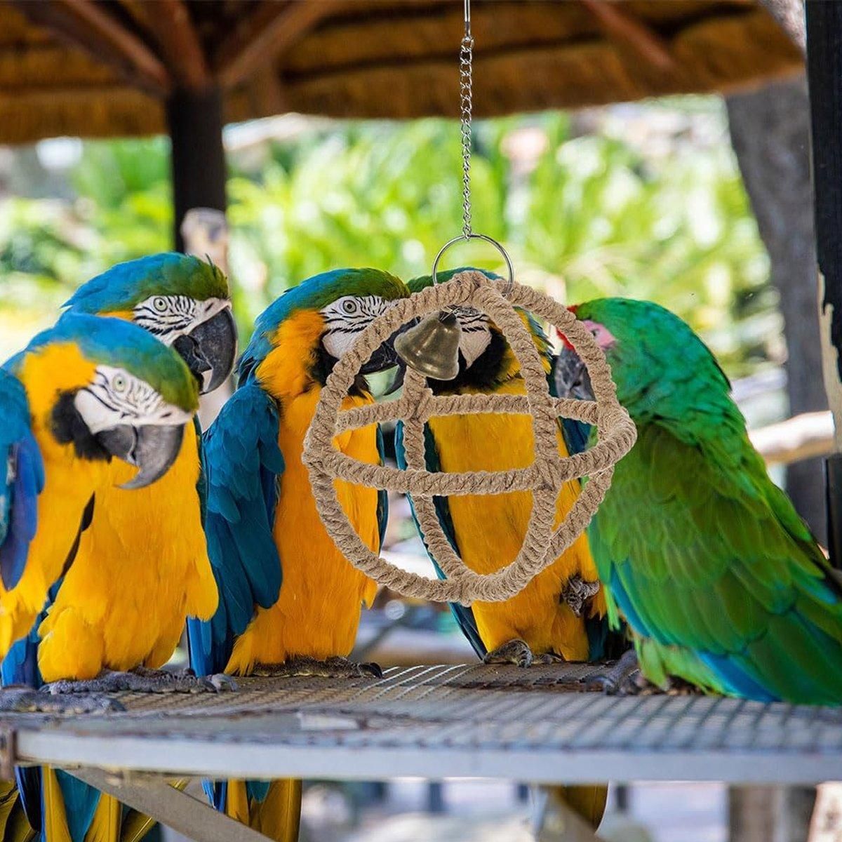 Interactive Parrot Toys Nibbling Balls Hoop Swing Bird Chew Play Activity
