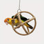 Interactive Parrot Toys Nibbling Balls Hoop Swing Bird Chew Play Activity