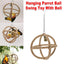 Interactive Parrot Toys Nibbling Balls Hoop Swing Bird Chew Play Activity