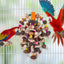 Colourful Parrot Toy Chew Corn Cob Fun Toy for Birds Safe Natural Playtime