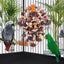 Colourful Parrot Toy Chew Corn Cob Fun Toy for Birds Safe Natural Playtime
