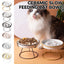 Ceramic Cat Bowl Slow Feeder Pet Food Tray for Cats and Dogs Non Slip Design - Black Bowl-Black Tray Rack