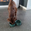 Ceramic Pet Bowl Cat Food Bowl Dog Bowl Drinking Bowl Pet Water Food Dish - Pink