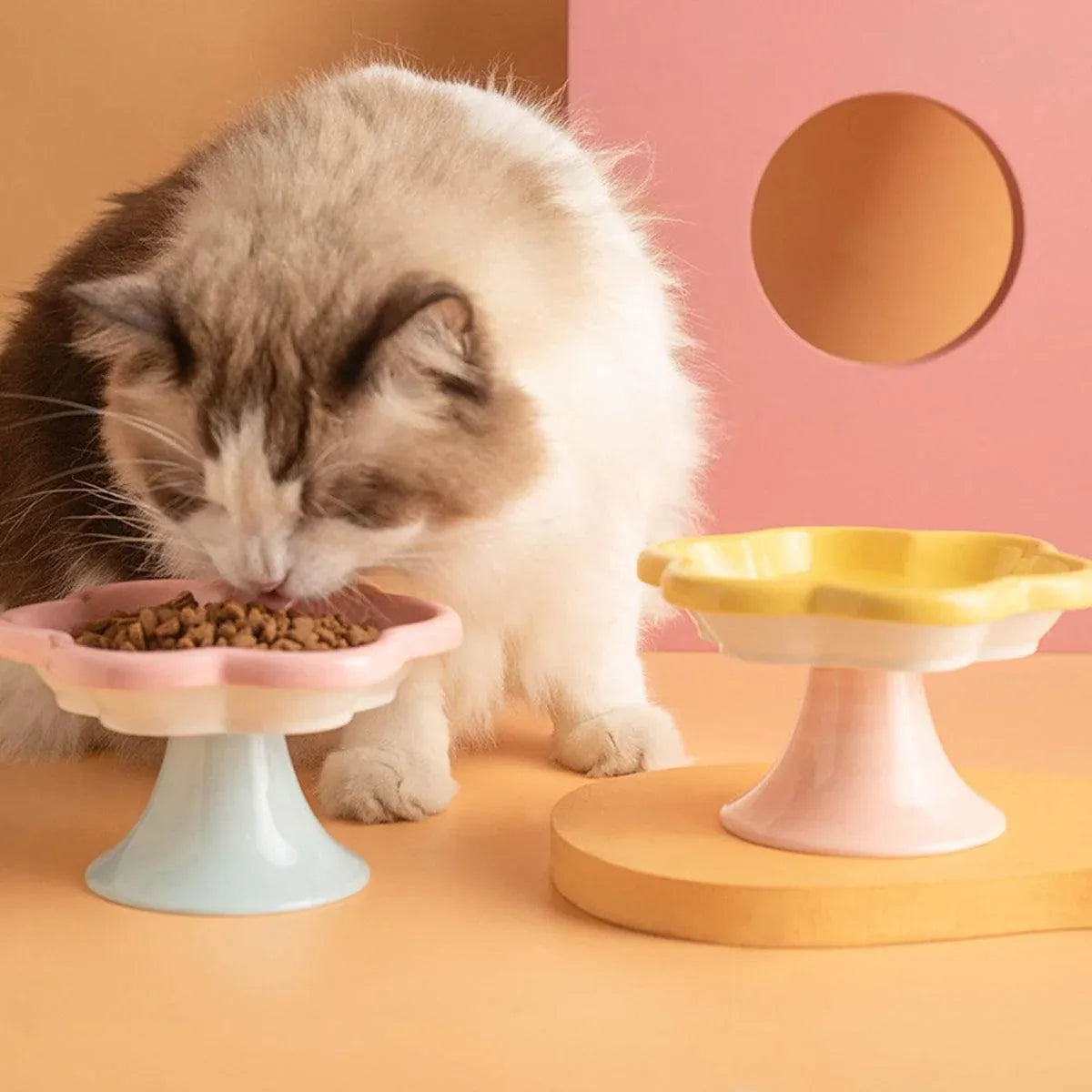 Flower Ceramic Cat Bowl Pet Food Bowl Snack Tray for Cats and Small Pets Feeding - Yellow