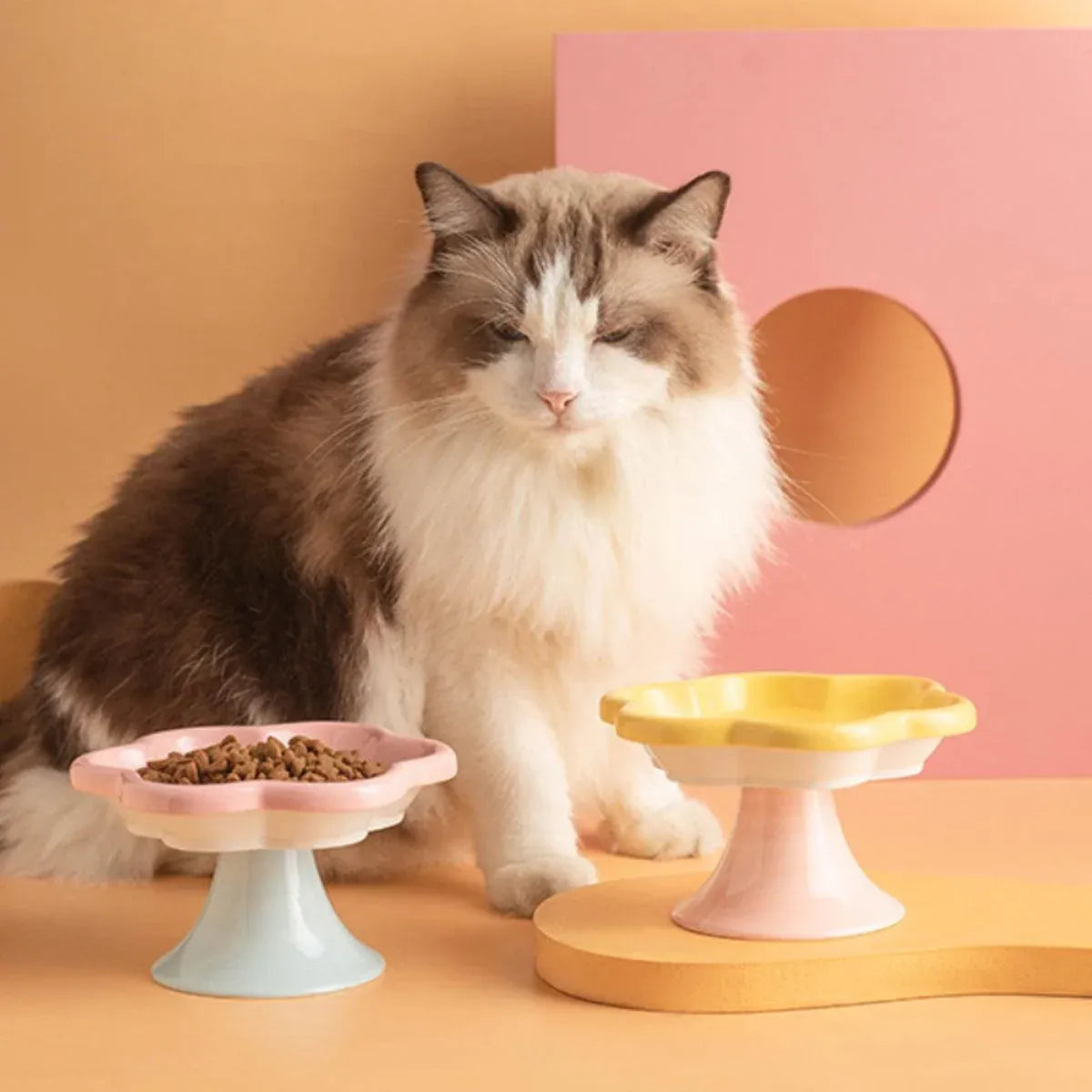 Flower Ceramic Cat Bowl Pet Food Bowl Snack Tray for Cats and Small Pets Feeding - Yellow
