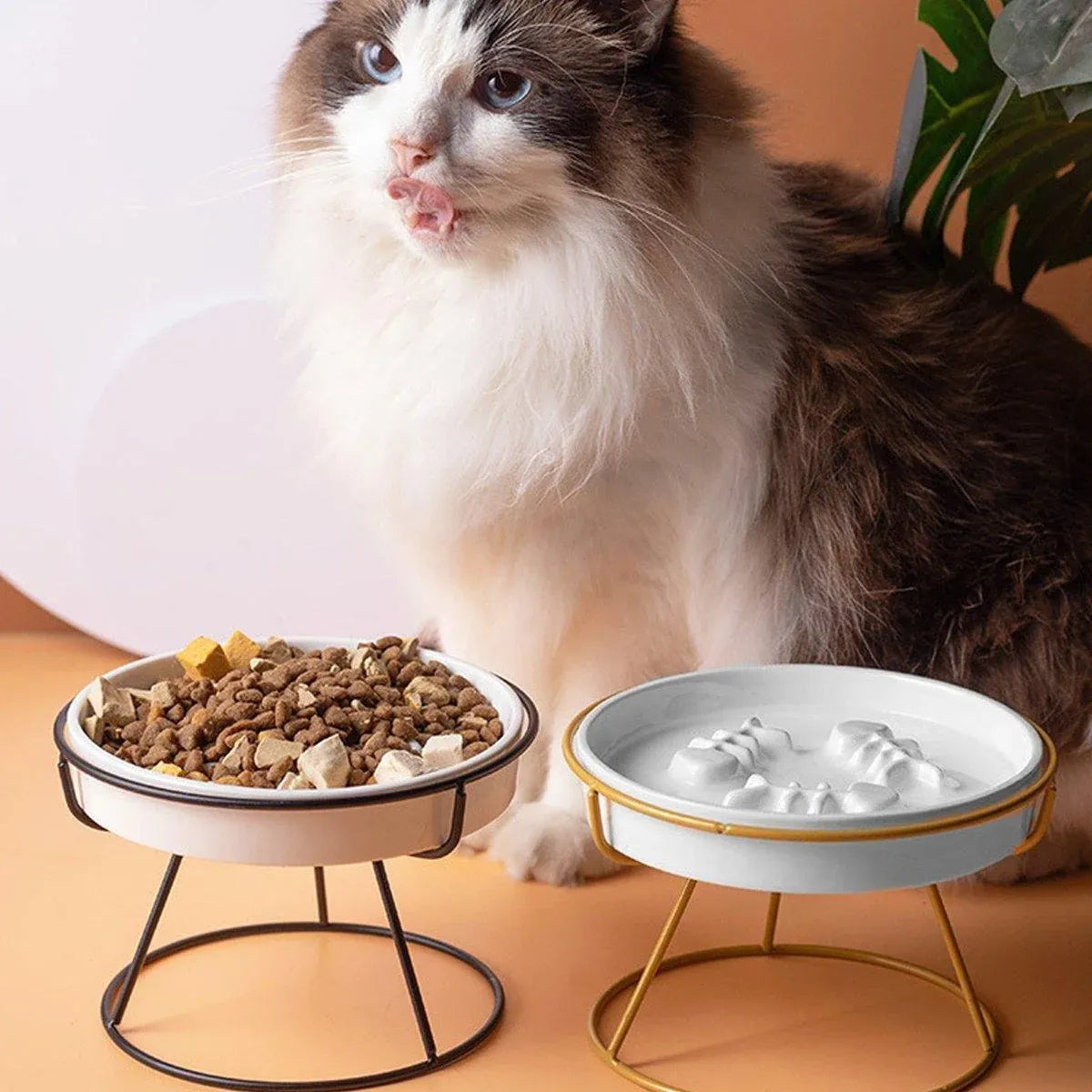 Ceramic Cat Bowl Slow Feeder Pet Food Tray for Cats and Dogs Non Slip Design - Yellow Bowl-White Tray Rack