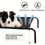Heavy Duty Pet Raised Bed Elevated Trampoline Hammock Cat Dog Raised Deluxe - L