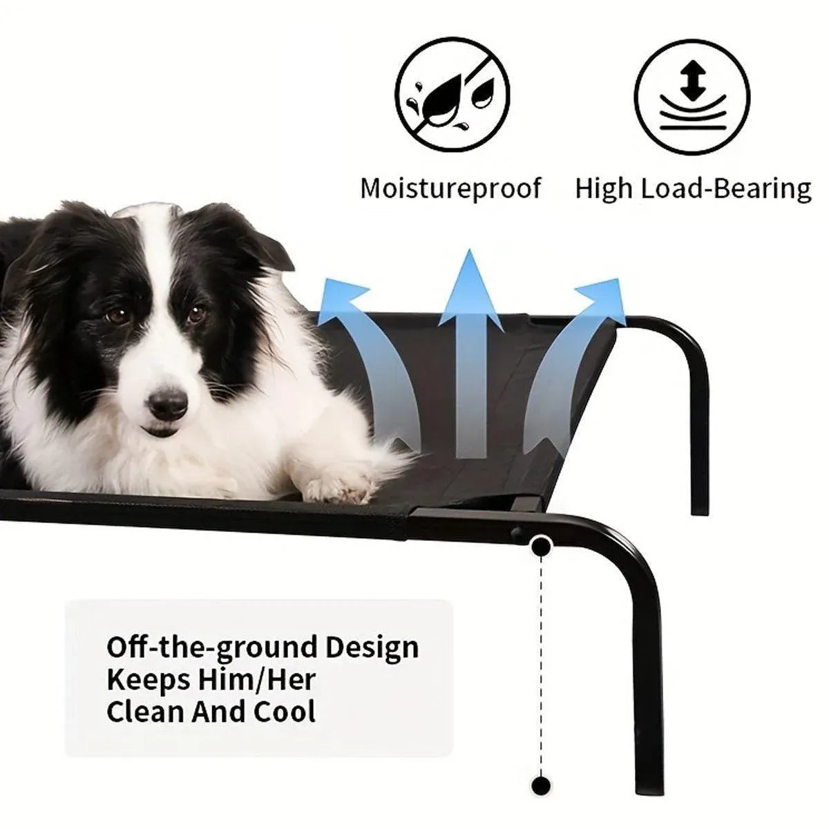 Heavy Duty Pet Raised Bed Elevated Trampoline Hammock Cat Dog Raised Deluxe - M