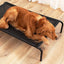 Heavy Duty Pet Raised Bed Elevated Trampoline Hammock Cat Dog Raised Deluxe - M