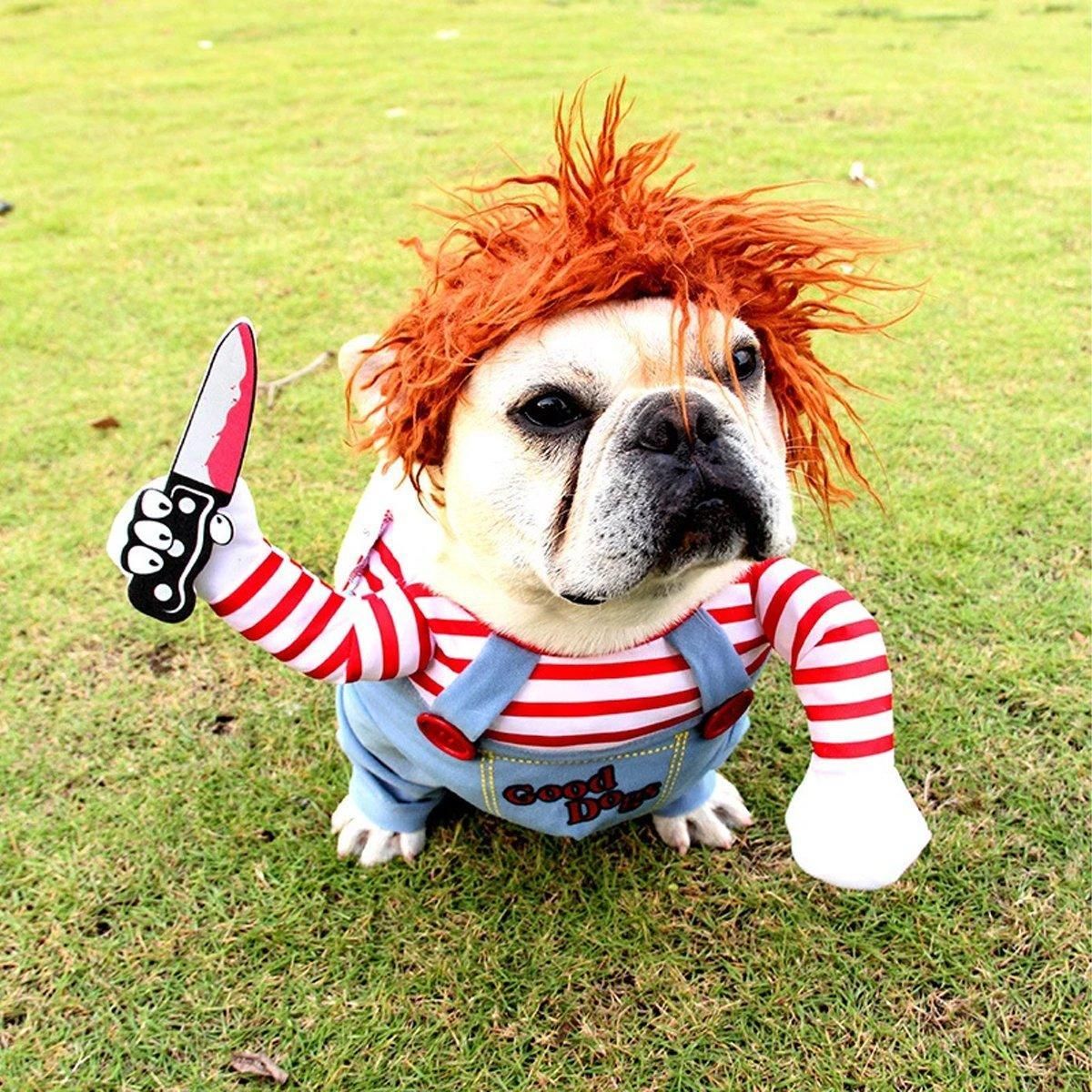 Halloween Dog Costume Pet Accessories Funny Dress Up for Small Medium Dogs - Little Devil Riding-L