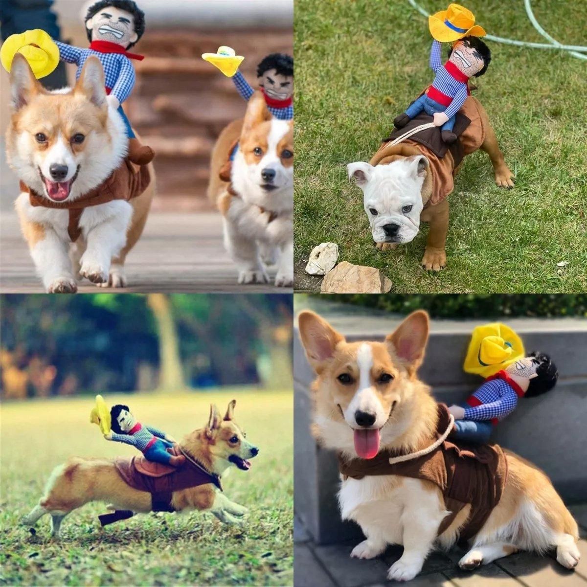 Halloween Dog Costume Pet Accessories Funny Dress Up for Small Medium Dogs - New Pirate-M