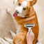 Pet Grooming Brush Hair Removal Anti Tangle Cat Dog Home Detangling Comb Pets - L