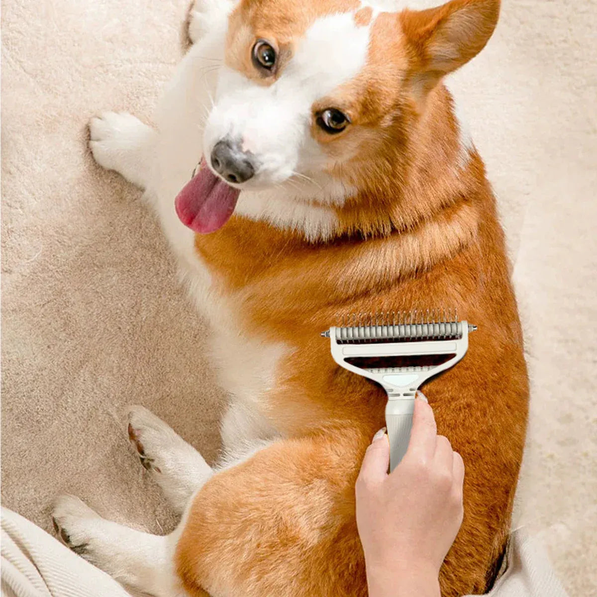 Pet Grooming Brush Hair Removal Anti Tangle Cat Dog Home Detangling Comb Pets - L