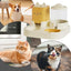Pet Cartoon Feeding Bowl Universal Water Feeder Cat Dog Food Dish Durable Stand - Yellow