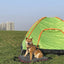 Portable Folding Pet Kennel Zippered Outdoor Dog Bed Travel Mat Waterproof - Blue Orange