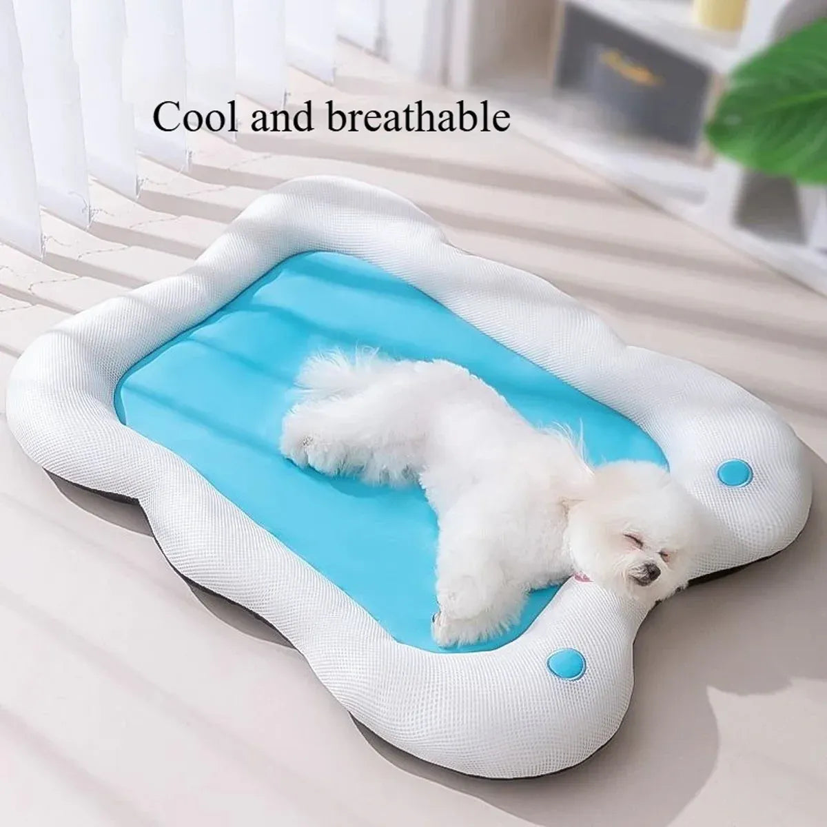 Soft Pet Bed for Dogs and Cats Washable Cushion Kennel Indoor Sleeping Mat Use - M