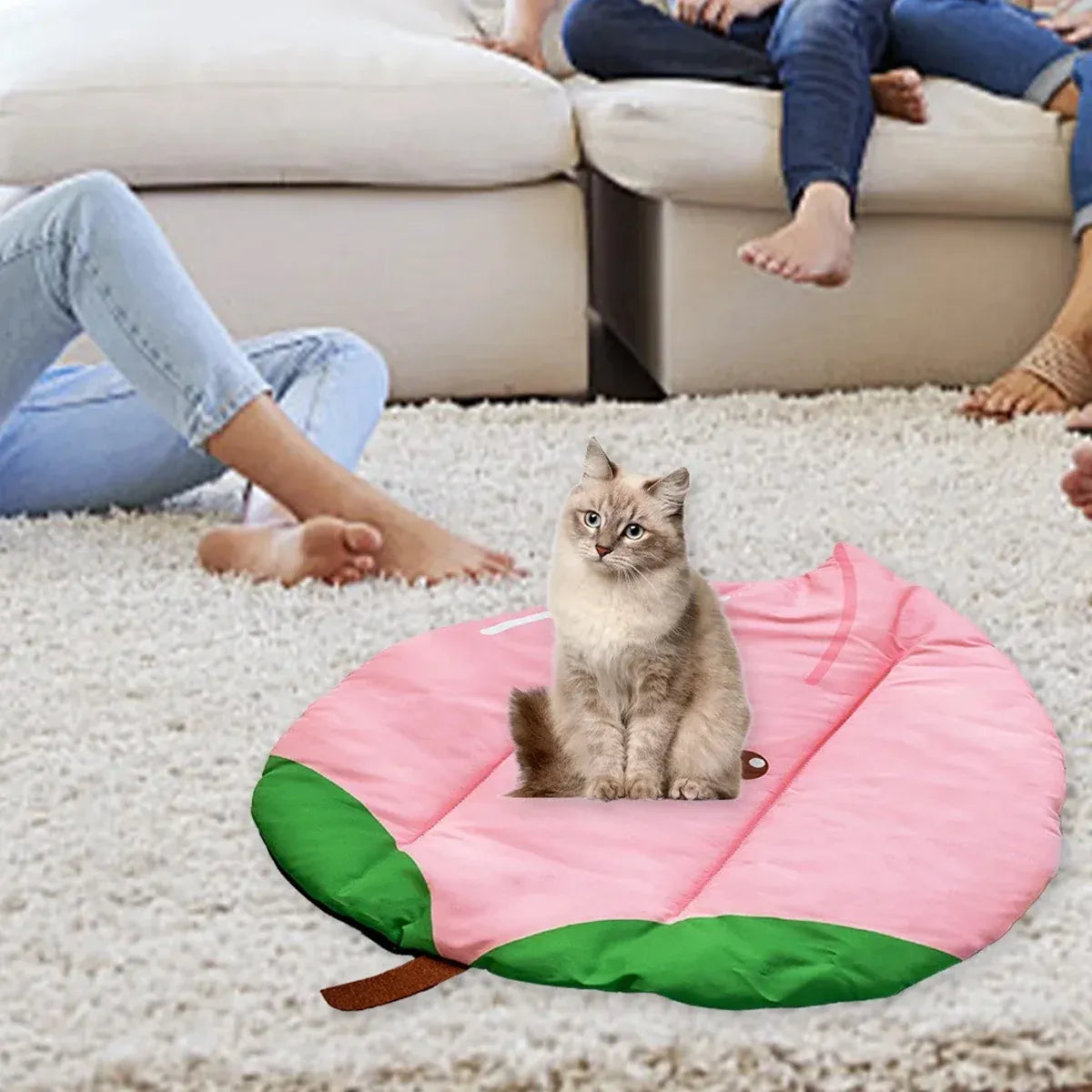 Pet Sleeping Mat Waterproof Moisture Proof Stain Resistant Non Slip Washable - Peach