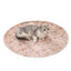Waterproof Dog Pads Round Diaper Pads Pet Training Pads for Puppies and Dogs - Khaki-75cm