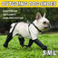Dog Adjustable Suspender Boots Waterproof Dog Shoes Anti-Slip Pet Paw Protector - M