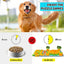 Interactive Pet Sniff Mat Dog Slow Feeder Toy Anti Choke Training Food Bowl Mat