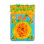 Interactive Pet Sniff Mat Dog Slow Feeder Toy Anti Choke Training Food Bowl Mat