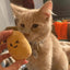 20PCS Handmade Cute Squeaky Little Potato Doll Pet Plush Doll For Dog Cat