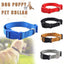S Size Dog Puppy Pet Collar Adjustable Nylon Toy Small Pink Blue Red Black - Grey