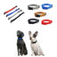 S Size Dog Puppy Pet Collar Adjustable Nylon Toy Small Pink Blue Red Black - Grey