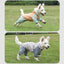 Waterproof Four Foot Dog Raincoat for Small Medium Large Dogs Pet Rainy Day Coat - Light Gray+Dark Grey - XXL