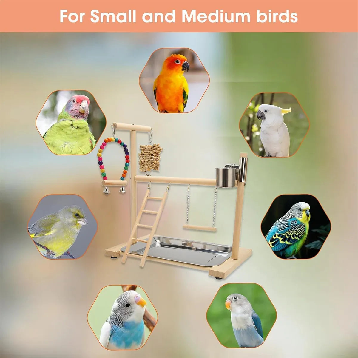 Parrot Wooden Playground Station Swing Climbing Ladder Cage Rack Bird Perch Toy