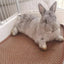 Pet Mat Kennel Cushion Dog Cat Bed Sleeping Pad Soft Washable for Crate Floor - 45x55cm