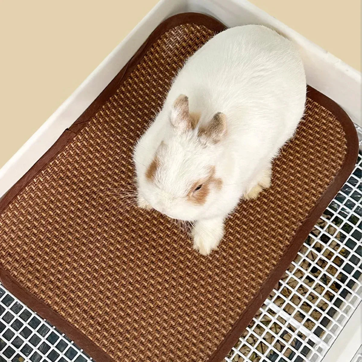 Pet Mat Kennel Cushion Dog Cat Bed Sleeping Pad Soft Washable for Crate Floor - 60x60cm