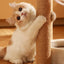 2pcs Sisal Cat Scratching Post Climbing Frame Replacement Pole for Cats Activity - 20cm